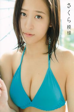 热血忠魂之独行侍卫